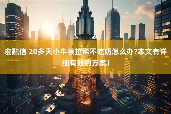 宏融信 20多天小牛犊拉稀不吃奶怎么办?本文有详细有效的方案！