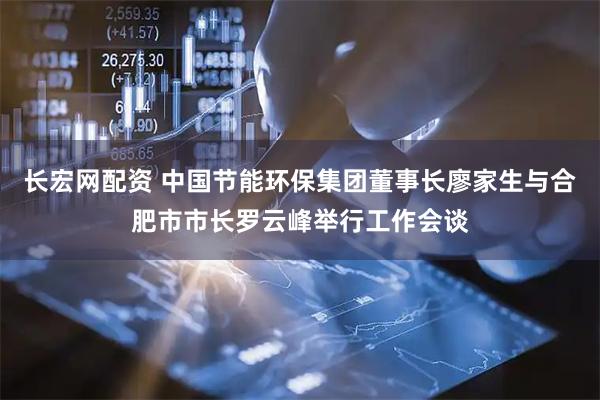 长宏网配资 中国节能环保集团董事长廖家生与合肥市市长罗云峰举行工作会谈