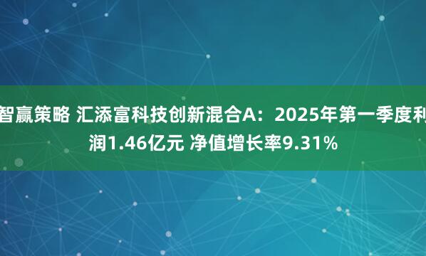 智赢策略 汇添富科技创新混合A：2025年第一季度利润1.46亿元 净值增长率9.31%