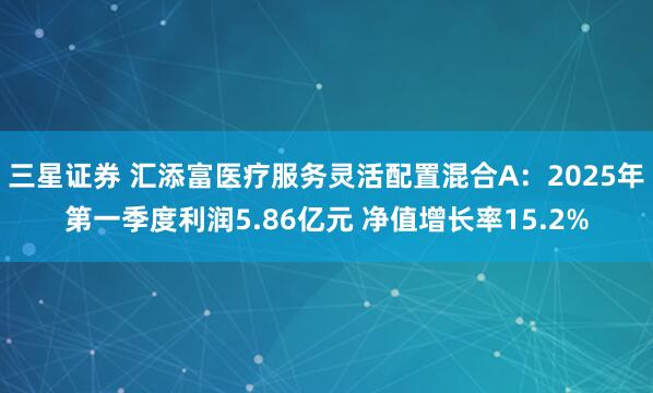 三星证券 汇添富医疗服务灵活配置混合A：2025年第一季度利润5.86亿元 净值增长率15.2%