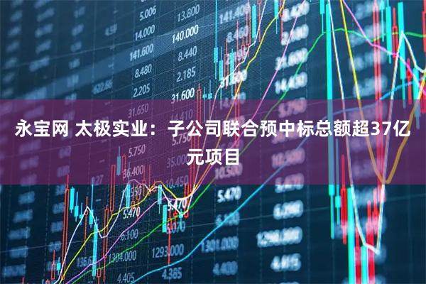 永宝网 太极实业：子公司联合预中标总额超37亿元项目